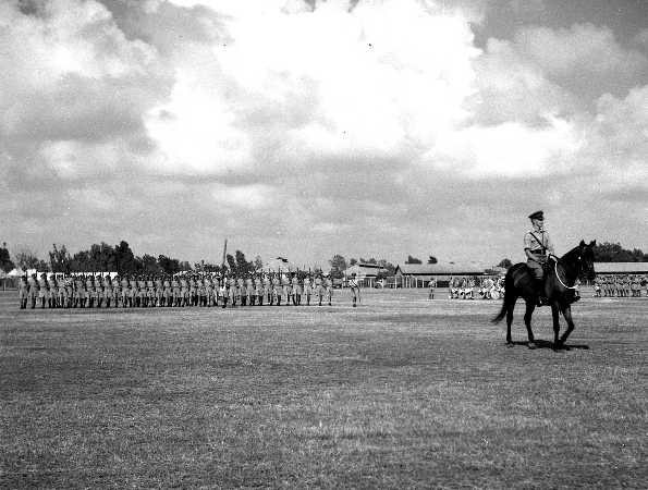 Images/1 LF colour Troop 1951313.jpg